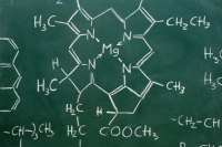 Chlorophyll structure